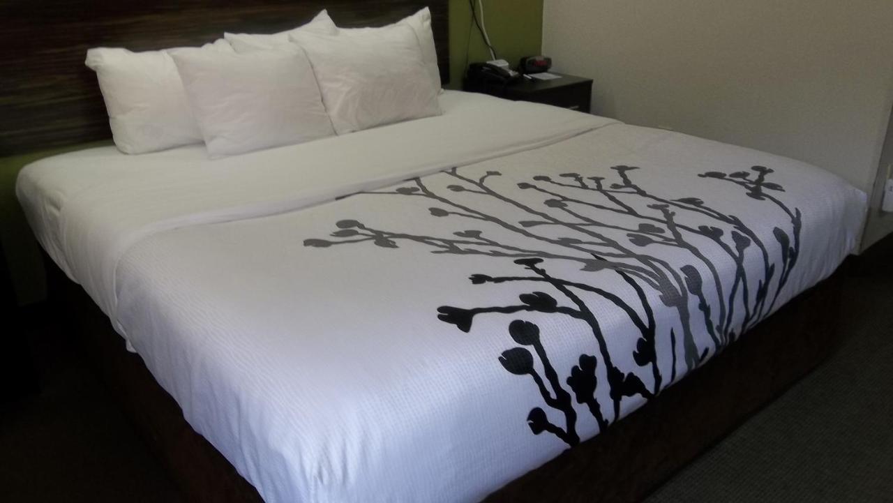 Sleep Inn Bryson City - Cherokee Area Экстерьер фото